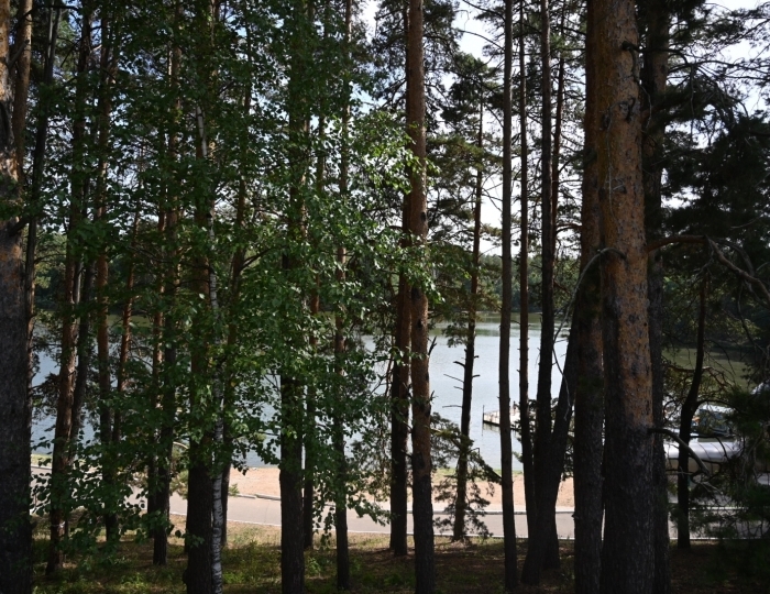 Санаторий Tatneft / Татнефть Ромашкино Бухарай